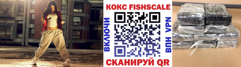 Кокаин Эквадор  купить наркотик  Камышлов 
