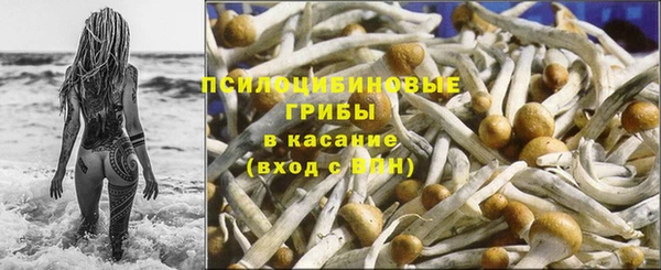 бошки Россошь