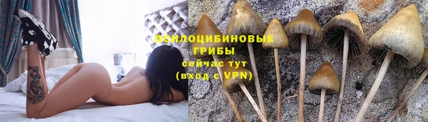 стафф Абинск
