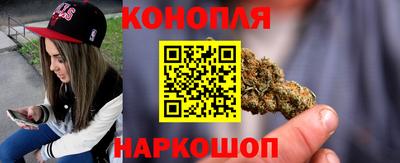 дурь Кингисепп