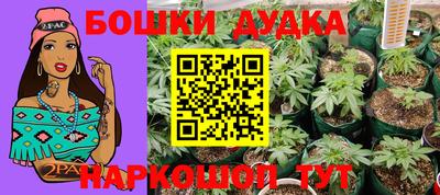 дурь Кингисепп