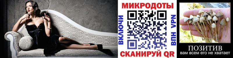 Галлюциногенные грибы мухоморы  Камышлов 