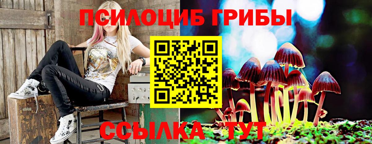 Камышлов  Псилоцибиновые грибы MAGIC MUSHROOMS  где можно купить наркотик  Вход с VPN 